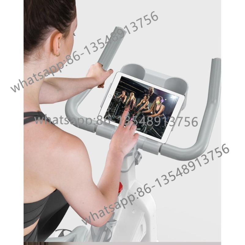 Magnetic Resistance Spinning B - Exercise Bike Magnetic Resistance 评论和价格