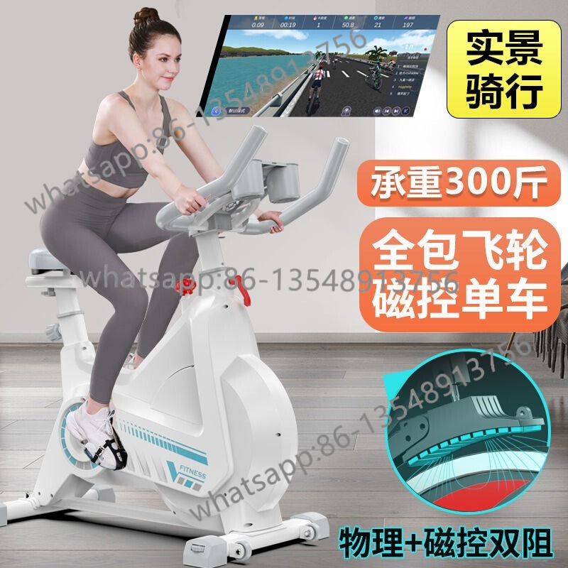Magnetic Resistance Spinning B - Exercise Bike Magnetic Resistance 评论和价格