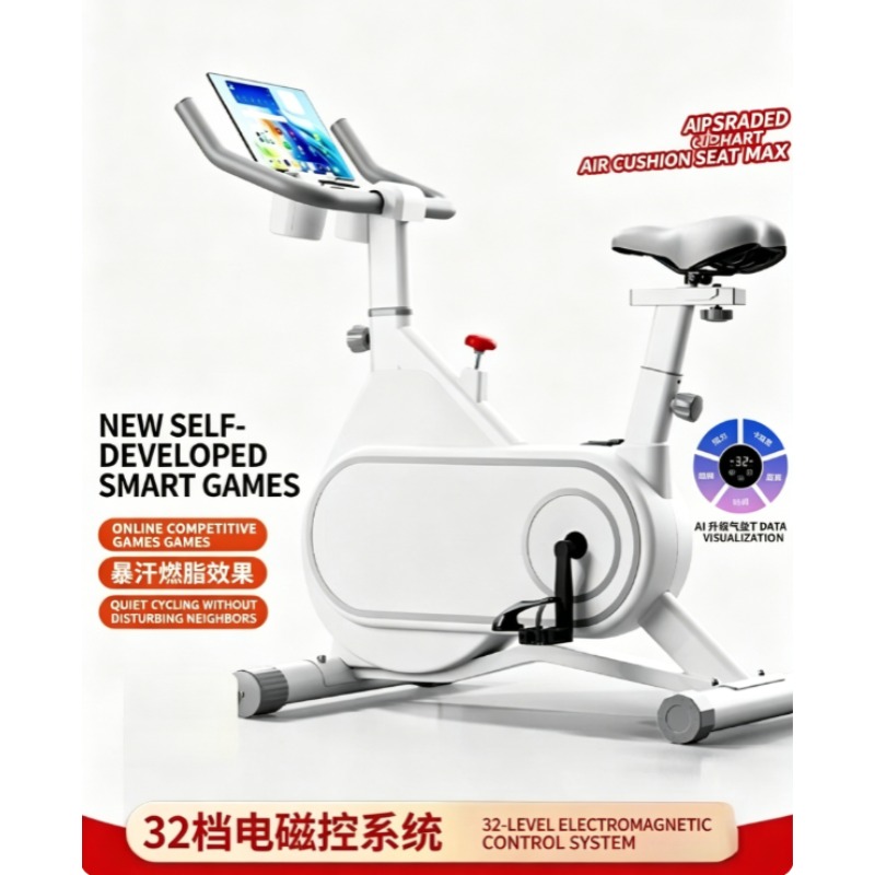 Silent Magnetic Resistance Spi - Exercise Bike Magnetic Resistance 评论和价格