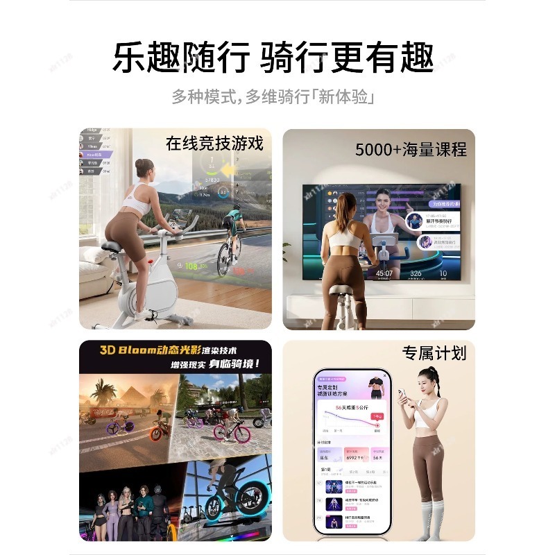 Silent Magnetic Resistance Spi - Exercise Bike Magnetic Resistance 评论和价格