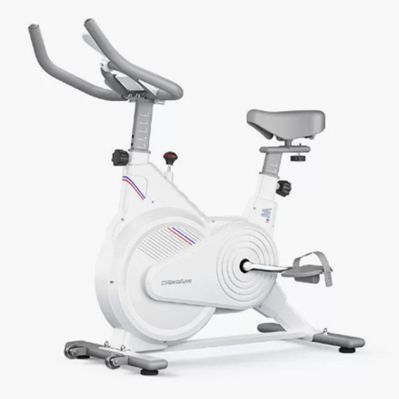 Indoor Stationary Spin Bike, S - Exercise Bike Magnetic Resistance 评论和价格
